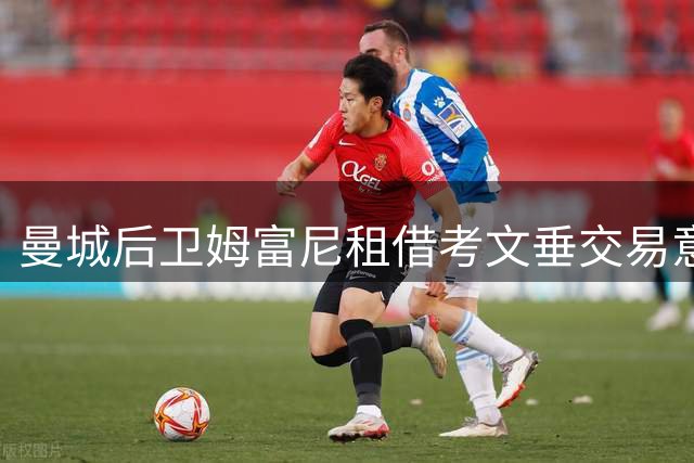 曼城后卫姆富尼租借考文垂交易意外终止