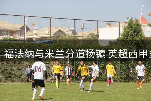福法纳与米兰分道扬镳 英超西甲多队展开争夺