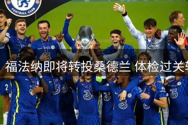 福法纳即将转投桑德兰 体检过关转会费达4000万欧